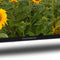 Thomson 32HA2S13C - LCD TV - HD Ready - 32