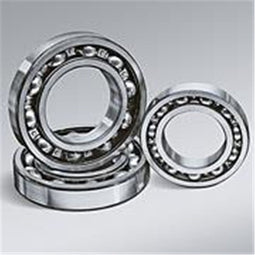 SKF Kogellager 6006