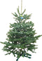 Warentuin natuurlijk - Kerstboom Warentuin Nordman B - kwaliteit A...