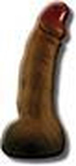 Penis Shaped Piggy Bank Brown 22.5 cm