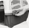 Skudo MPS Benche - Transportbox - Taupe/Sand - 60x40x39 cm