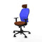 Piqueras y Crespo 1D036N2 - Bureaustoel - Hoofdsteun Verstelbaar - Blauw Bruin