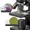 National Geographic Microscoop 40x-1280x incl. Smartphone houder