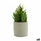 Decoratieve plant Vetplant Plastic 12 x 24 x 12 cm (6 Stuks)