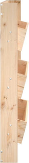 vidaXL - Plantenbak - wandmontage - 3-laags - 60x18,5x110 - cm - grenenhout