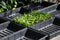 SLIMKWEKEN Seed tray 37,5 x 23 x 6 cm - set a 12