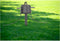 Slimme Wifi Outdoor Two-way Stopcontact