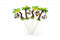 Timmers - Slingeraap in palm op prikker 250mm 50 stuks