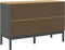 vidaXL - Ladekast - FLORO - massief - grenenhout - grijs