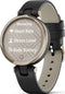 Garmin Lily - Smartwatch - Hartslagsensor Oximeter - Goud (Grijs Zwart)