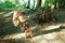 Small Foot - Explorer's Gereedschapsriem Discover