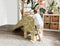 Small Foot - Houten Indoor Glijbaan Giraffe Wildlife