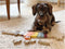 Small Foot - Houten Letter- en Vormenpuzzel Hond, 26st.