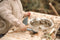Small Foot - Houten Modderkeuken Compact