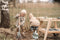 Small Foot - Houten Modderkeuken Compact