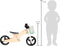 Small Foot - Houten Training Driewieler/Loopfiets 2in1 Saliegroen