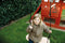 Small Foot - Houten XL Bordschommel Black Line