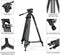 SMALLRIG - Videostatief - 73-inch (186 cm) Heavy Duty Statief - 360 graden vloeistofkop en snelkoppelingsplaat