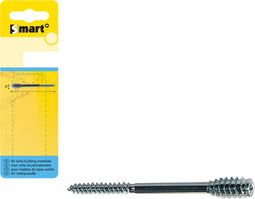 SMART | Afstandschroef T-drive Ø 6,00x100 Zn | 6 st