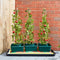 Smart Garden Products Tomaten kweekpot - 3 stuks - Zelfbewatering