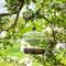 Smart Garden Products Vogelvoederplek - Hangschaal