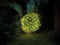 Smart Netlight LED - 1,2 x 1,2 m - 60 warm witte lampen - groene draad - modulator - batterijen niet meegeleverd