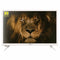 Smart TV NEVIR 8070 24
