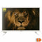 Smart TV NEVIR 8070 24