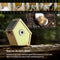 Smart Vogelhuis met Camera - Solar Powered - 24/7 verbinding - Waterdicht - AI Herkenning en Time-lapse Fotografie