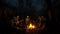 S.T.A.L.K.E.R. 2: Heart of Chornobyl - PS5 - Avontuur Shooter - (30-3-2024)