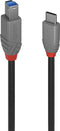 Lindy 36668 - USB-kabel USB 3.2 Gen1 USB-C naar USB-B - 3.00 m - Zwart