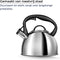 Smile - RVS Fluitketel - 3 Liter - Alle Warmtebronnen - Zilver