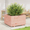 vidaXL - Plantenbak - 80x80x49,5 - cm - massief - douglashout