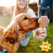 Smoofl Premium Hondensnacks: Ijs voor honden als een snack om af te koelen in de zomer en als een gezonde hond traktatie met verfrissend effect, honden ijs met pindakaas