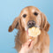 Smoofl Premium Hondensnacks: Ijs voor honden als een snack om af te koelen in de zomer en als een gezonde hond traktatie met verfrissend effect, honden ijs met pindakaas