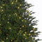 Black Box Trees Frasier Kunstkerstboom met LED verlichting - H305 cm - Groen