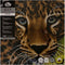 Crystal Art Kit | Diamond Painting Leopard