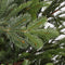 Black Box Trees Chir Kunstkerstboom - H185 cm - Groen