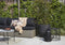 Xala - Gieter Lungo 12L - 46x26x43 - Zwart - Voor binnen & buiten - Breukbestendig - Lichtgewicht - 10 jaar garantie