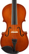 Leonardo LV-1012 viool set 1/2, gelamineerd, hardhout fittings, incl. fijnstemmer staartstuk, strijkstok en koffer