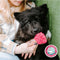 Smoofl Premium Hondensnacks: Ijs voor honden als een snack om af te koelen in de zomer en als een gezonde hond traktatie met verfrissend effect, honden ijs met watermeloen