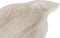 Snackdienblad DKD Home Decor Lichtbruin Tropisch Blad van een plant (56 x 28 x 5 cm)
