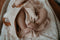 Snoozebaby Badcape Organisch Katoen Peach Blush - 80x80 cm