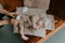 Snoozebaby romper 62/68 - Beige