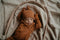 Snoozebaby Slaapzak & Pakje in 1 incl. Mutsje Toffee - 0-3 mnd
