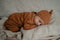 Snoozebaby Slaapzak & Pakje in 1 incl. Mutsje Toffee - 0-3 mnd