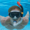 Snorkelbril en -buis voor Kinderen Bestway Volwassen (1 Stuks)