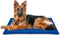 Kleed voor honden Nayeco Blauw Verkoelende gel (50 x 90 cm)