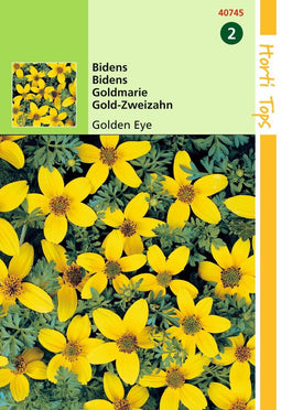 2 stuks - Hortitops - Bidens Humilis Golden Eye