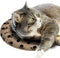 Snugglesafe Warmteschijf Hond/Kat - 24 cm